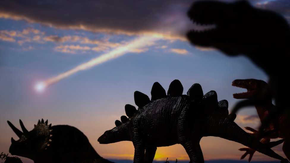 El meteorito que acabó con los dinosaurios: así fue el último día de los  gigantes que dominaron la Tierra - BBC News Mundo