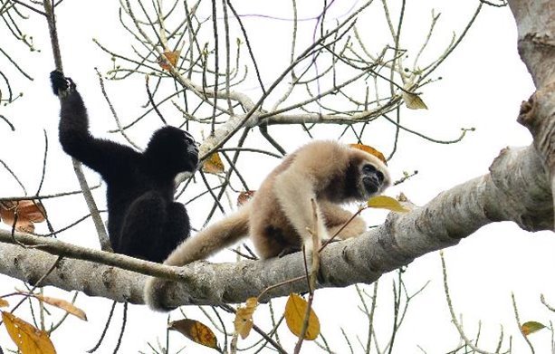 Men manamni yutib yubormoqchiman