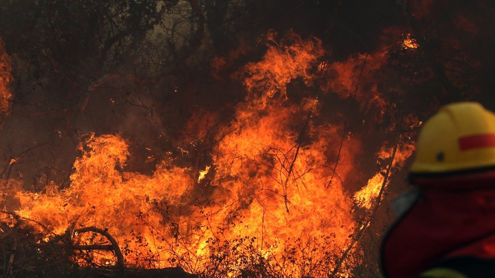 Amazonija U Opasnosti Pozari Seca Suma I Korona Virus Bbc News Na Srpskom