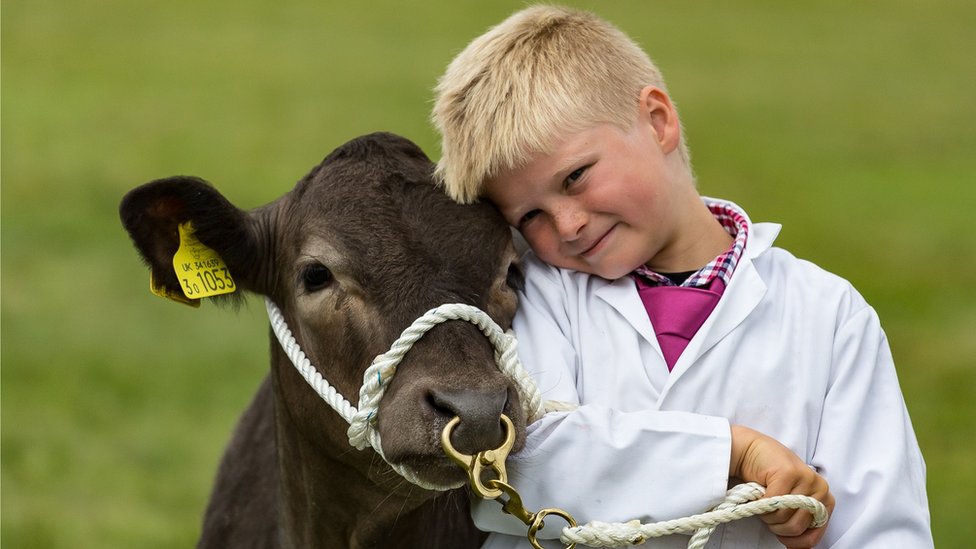 County Show returns after two-year pandemic break