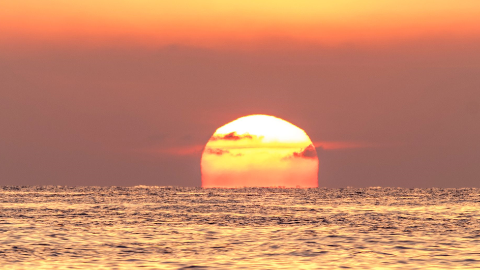 Alto! ¿Por qué no debes tocar una estrella de mar?