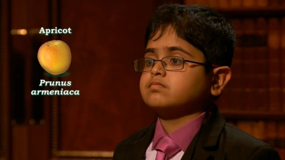 Child Genius: 12-year-old Rahul wins Channel 4 show