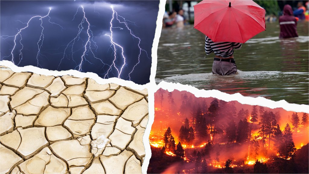 Heatwaves and floods: What can extreme weather tell us about climate  change? - CBBC Newsround