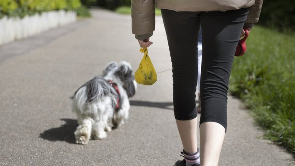 Dog walkers could be fined for having no poo bags