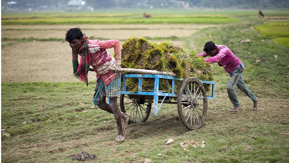 Teshiklarning shaxsiy fotosuratlari