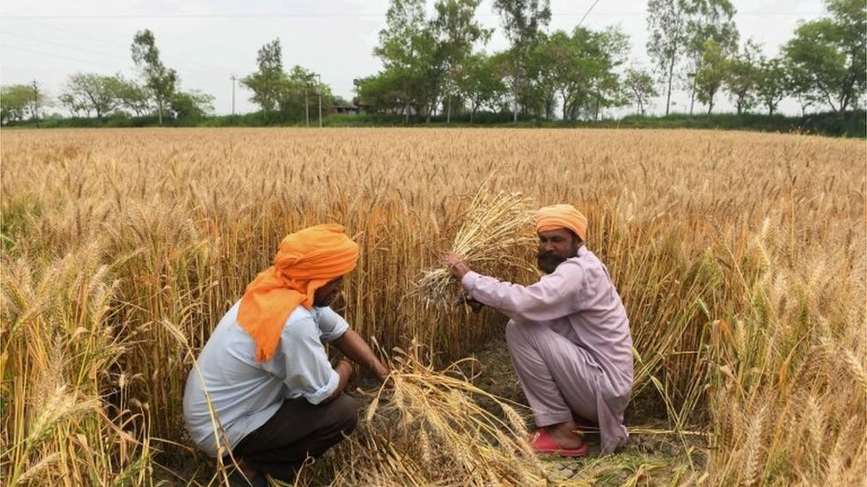 क र न व यरस और ल कड उन आख र द श क क स न क स क स स लड Bbc News ह द