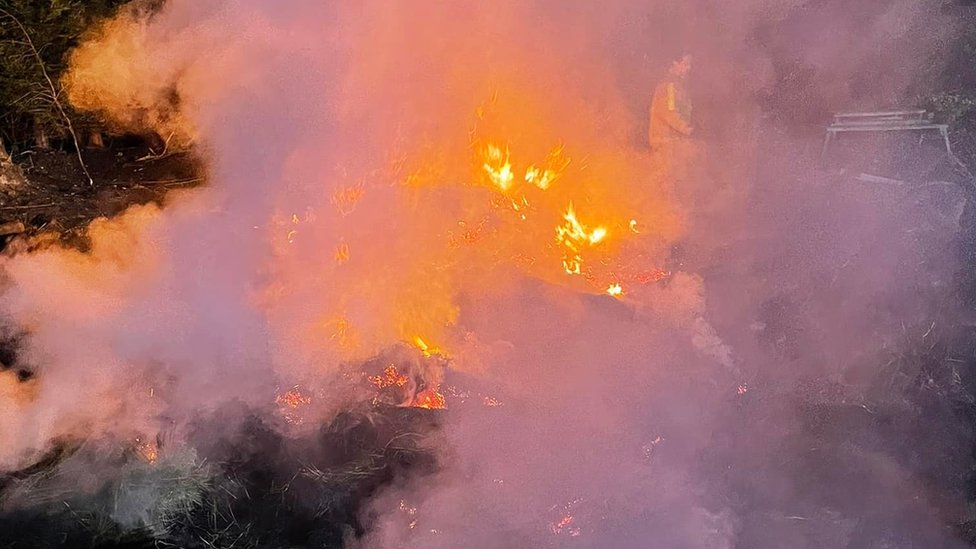 Big rise in summer wildfires in West Midlands