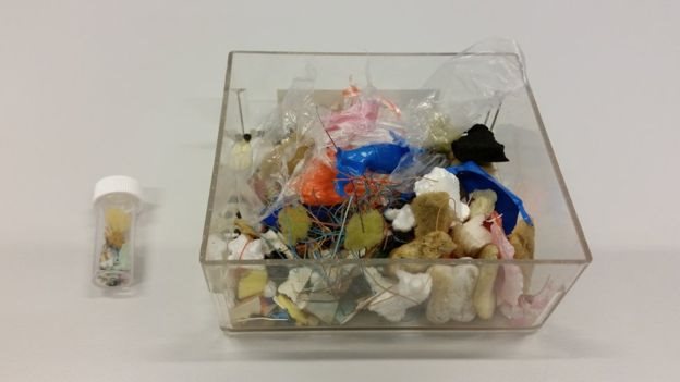 Objetos de plástico hallados en el estómago de un petrel Foto Lucy Quinn