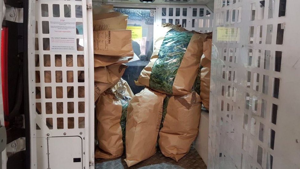 Bin bags of cannabis found by side of road