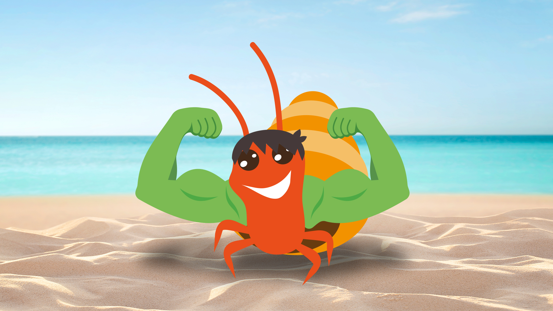 Meet Hulk the Hermit Crab! - CBBC Newsround