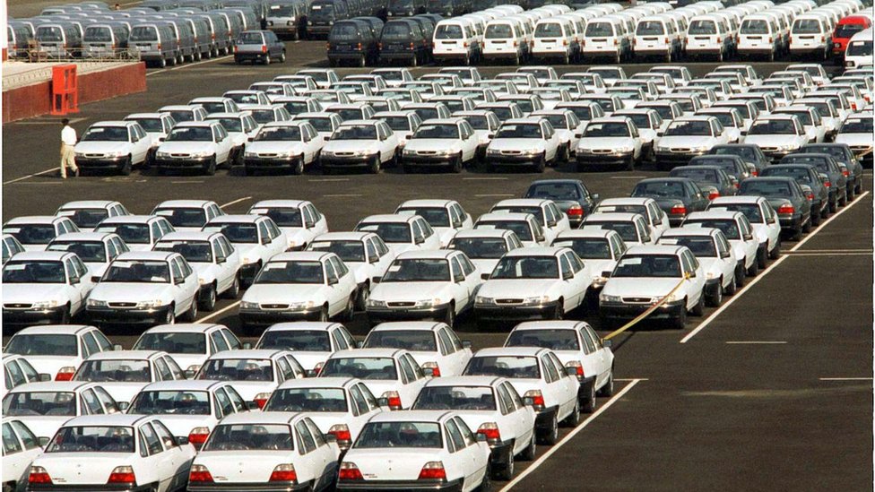 Ayolning mushuk siyayotgani surati