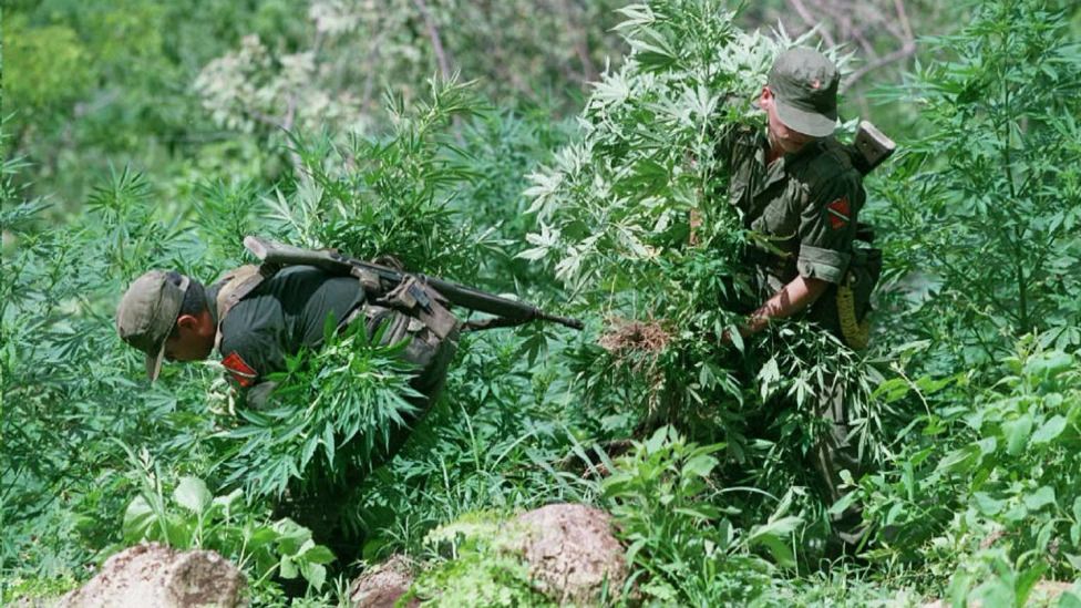 El pueblo de Las Varas está en una región de fuerte producción de drogas.