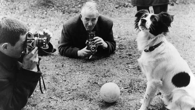 How Pickles the dog found the World Cup trophy - 50 years on - BBC Sport
