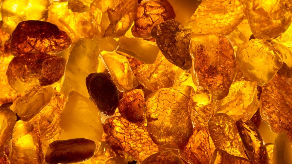 Una piedra semipreciosa hecha de resina de árboles fosilizada. Ámbar