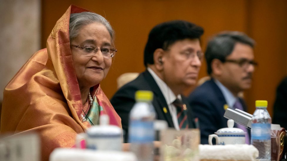 Ayol mushuklarining tasnifi