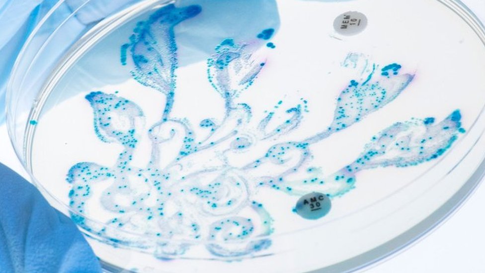 洋楽 Cleanse the Bacteria - Various Artists Oxford University scientist makes art from the gut - BBC News