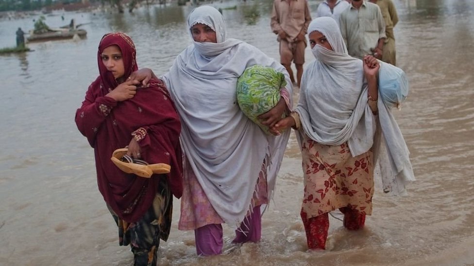 Dmitrovskiy uchun erotik massaj Irkutsk porno sayt