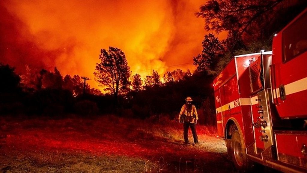 米カリフォルニアの山火事 すでに昨年の約倍の規模に cニュース