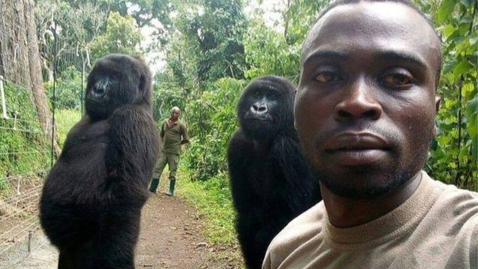 Kop orgazm boyicha qollanma