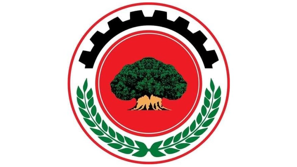 Qizlar qanday qilib katta siklarni sikishadi