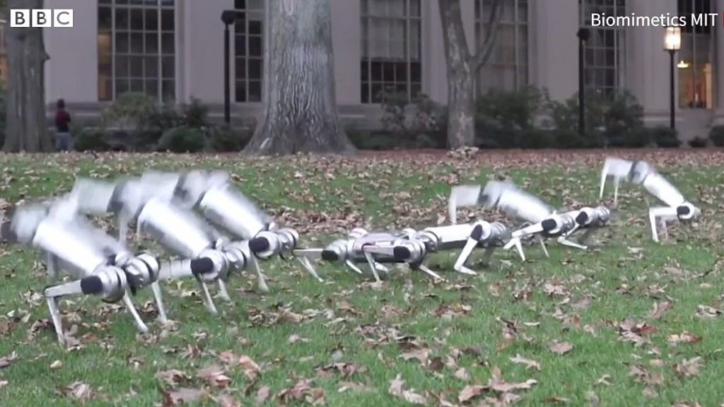 ミニ・チータ」ロボットがバック転 サッカーも披露 - BBCニュース