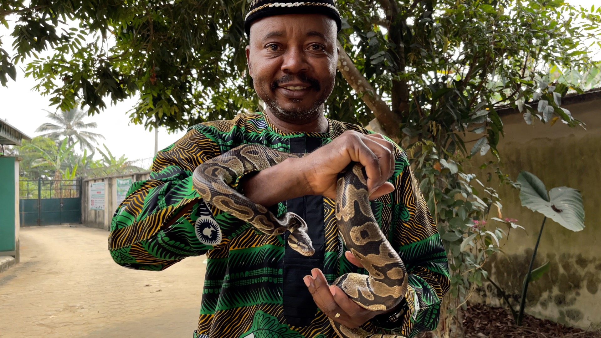 Professor wey sabi snake