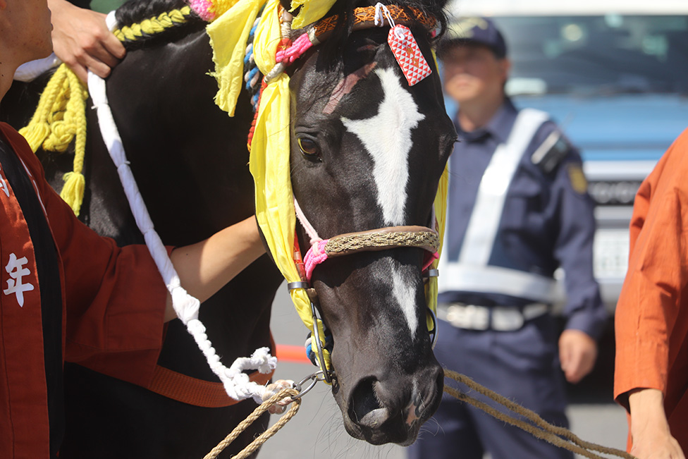 伝統と動物愛護のはざまで……「上げ馬神事」が坂の構造など見直しへ - BBCニュース