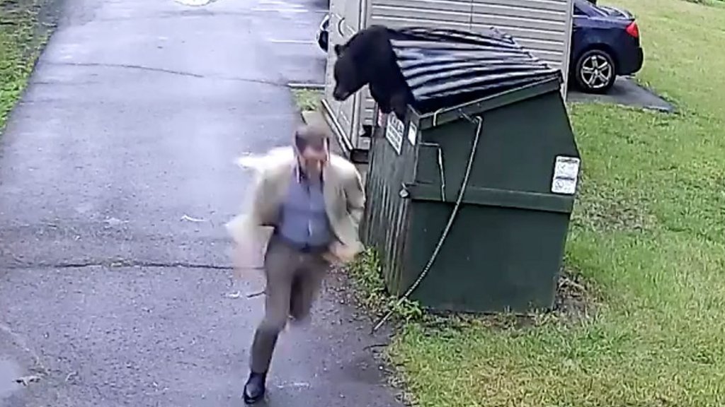 Watch: Hiding bear leaps from bin at US school