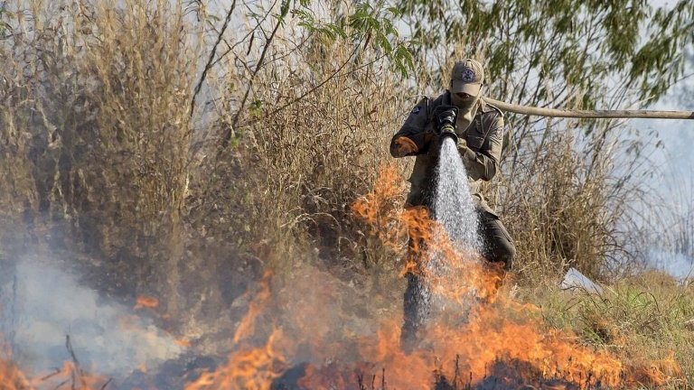 Fumaça de incêndios florestais nos EUA é mais tóxica do que se pensava