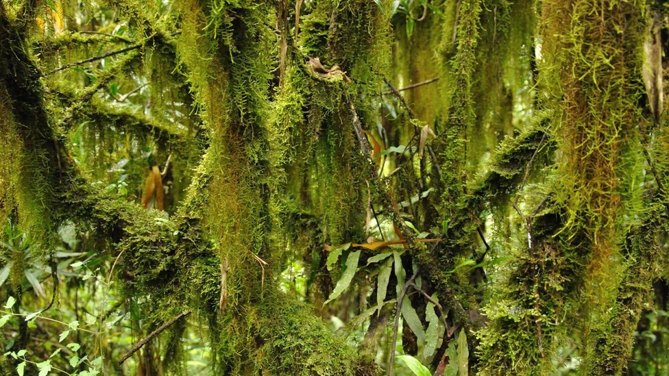 Ufadagi svingerlar Tarkan, men jinsiy aloqani yaxshi koraman.