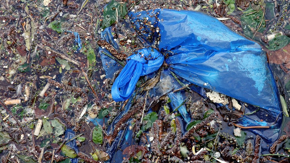 50 nations 'curbing plastic pollution'