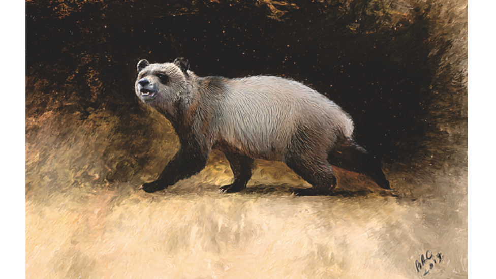 科學家們發現了一種新的歐洲古熊貓物種