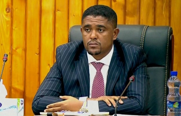 Tereza Palmer porno video