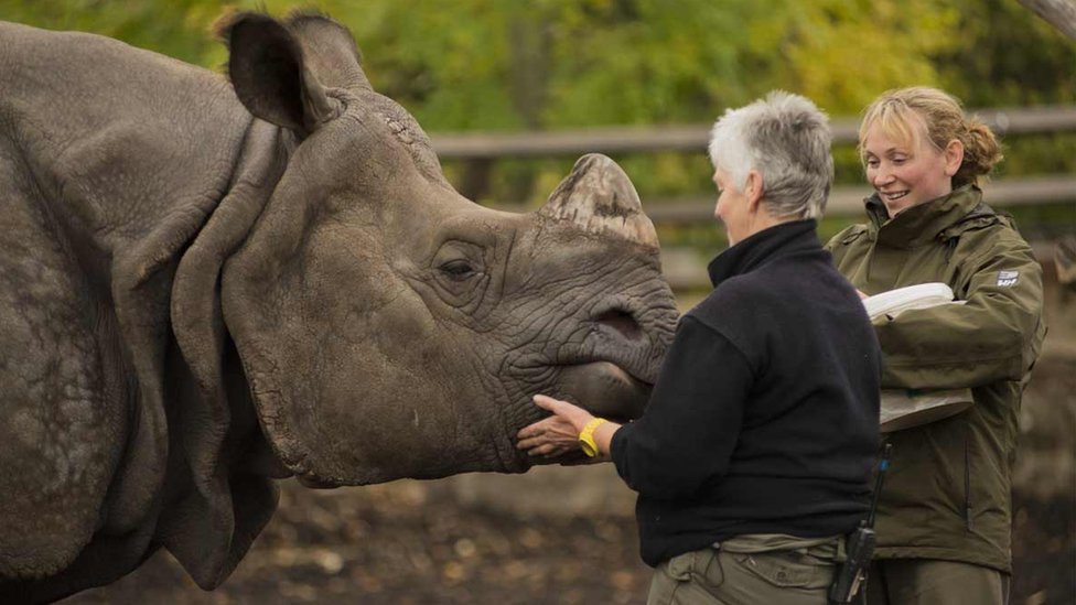Saving rhinos starts with our children