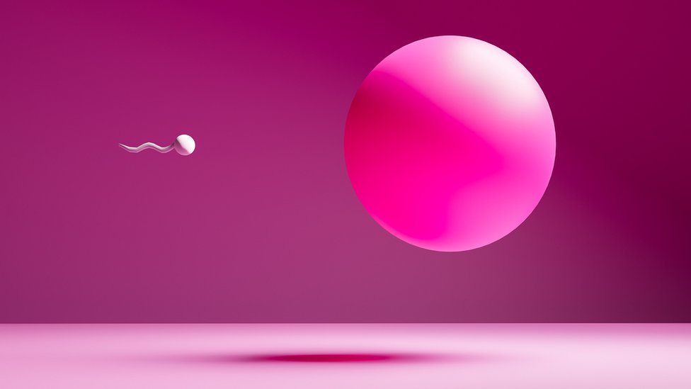 Rus osmirlar porno yuz cumshots bilan Erkak ayolning ichiga narsalarni itaradi