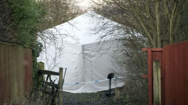 Una carpa blanca