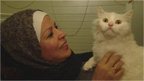 Video image