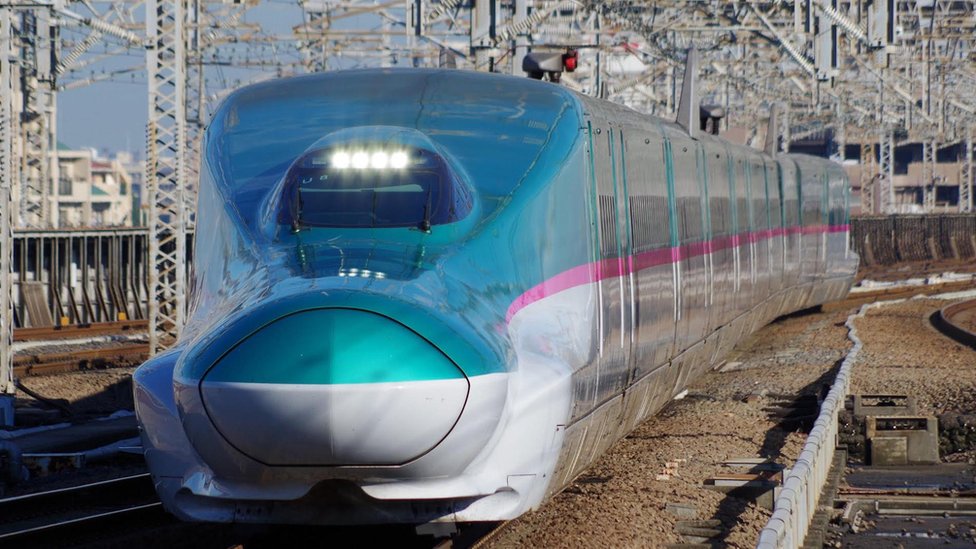 Rogue slug blamed for Japanese railway chaos
