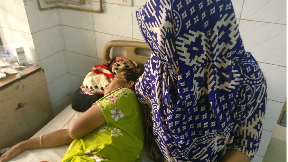 Semiz odamlar eshakda sikiladi Katta lablari bolgan mushukning yaqindan surati