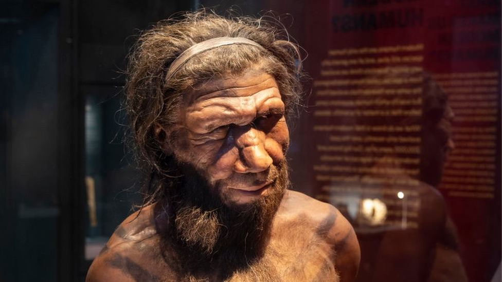 Ученые: неандертальцы могли вымереть не из-за вражды с гомо сапиенс, а в  результате скрещивания с ними - BBC News Русская служба