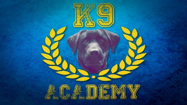 malpeet k9 academy