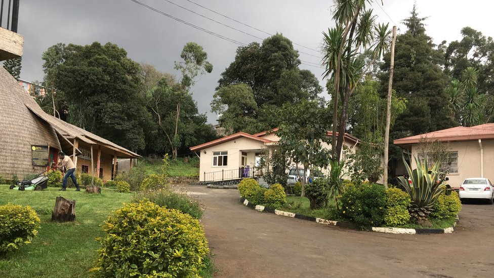 Chaqaloqlar hayvonlar bilan qattiq porno Porno qizlar qalam rasmlari