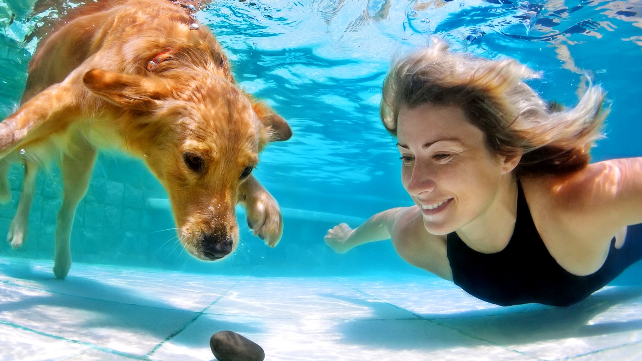 все ли животные умеют плавать