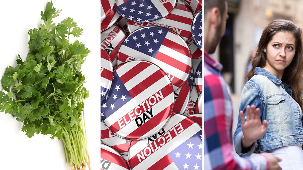Cilantro, elecciones Estados Unidos y persona maleducada por la calle.