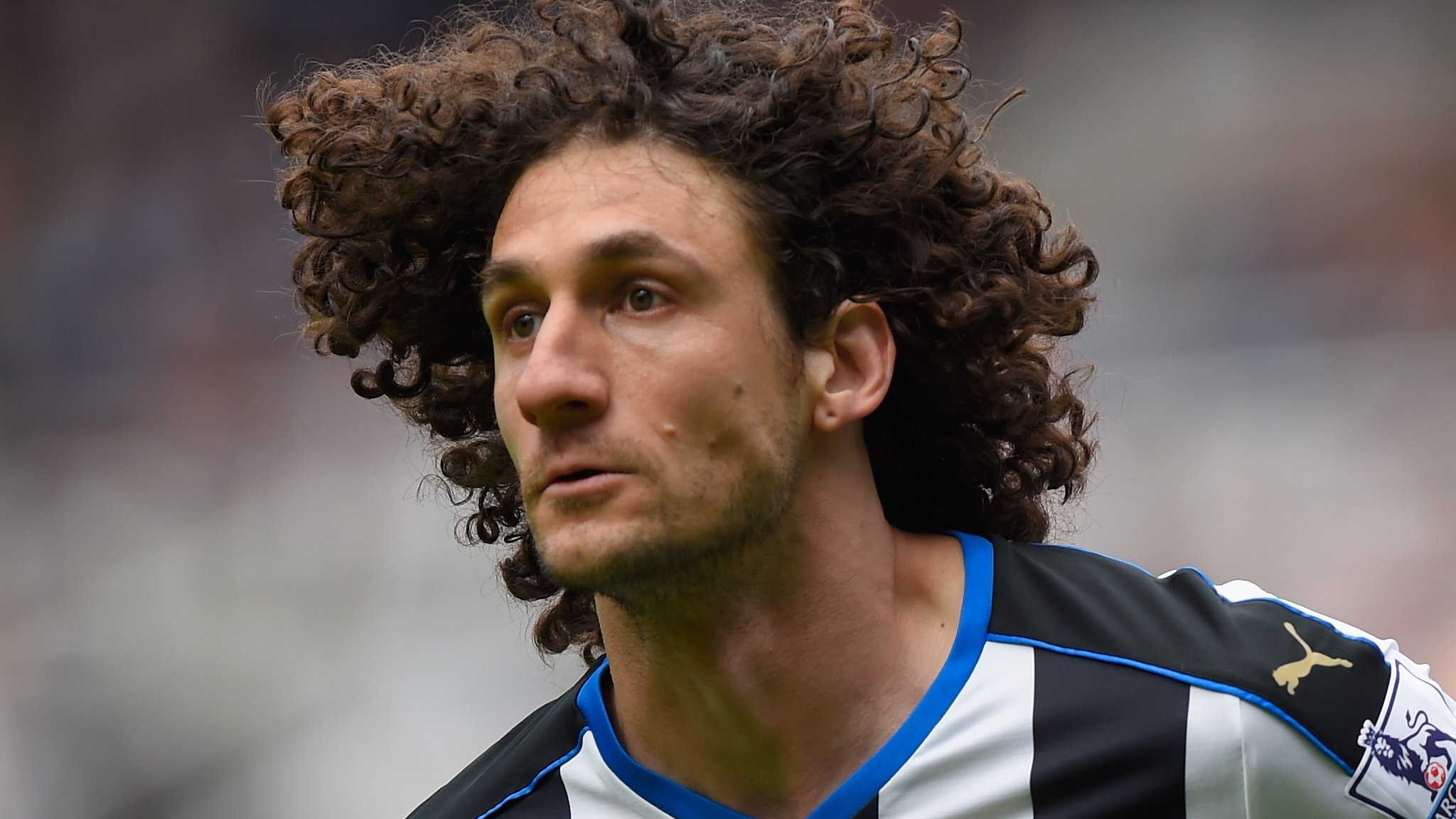 Newcastle United Captain Fabricio Coloccini Has Not Handed In A Transfer Request