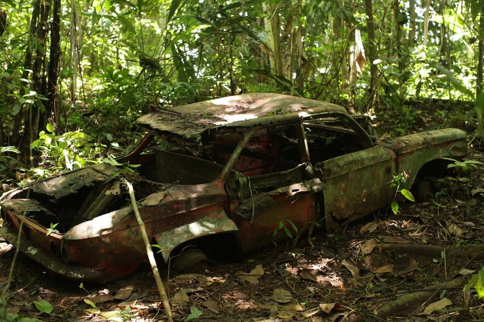 Carro en medio de la selva
