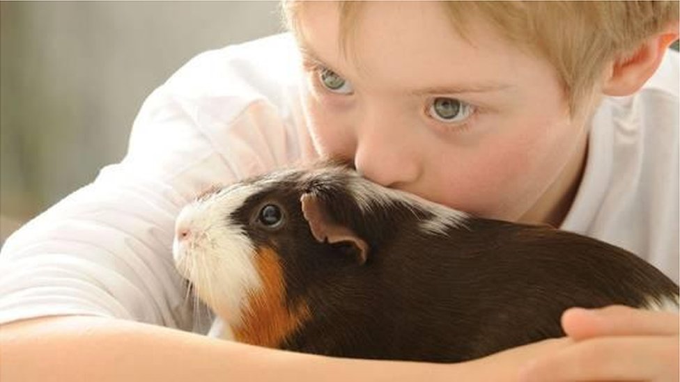 Como animais de estimação estimulam cérebro das crianças - BBC News Brasil
