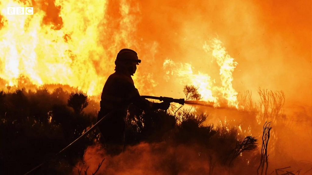 地中海周辺で山火事相次ぐ、南欧で熱波 イギリスでは40度超になる懸念