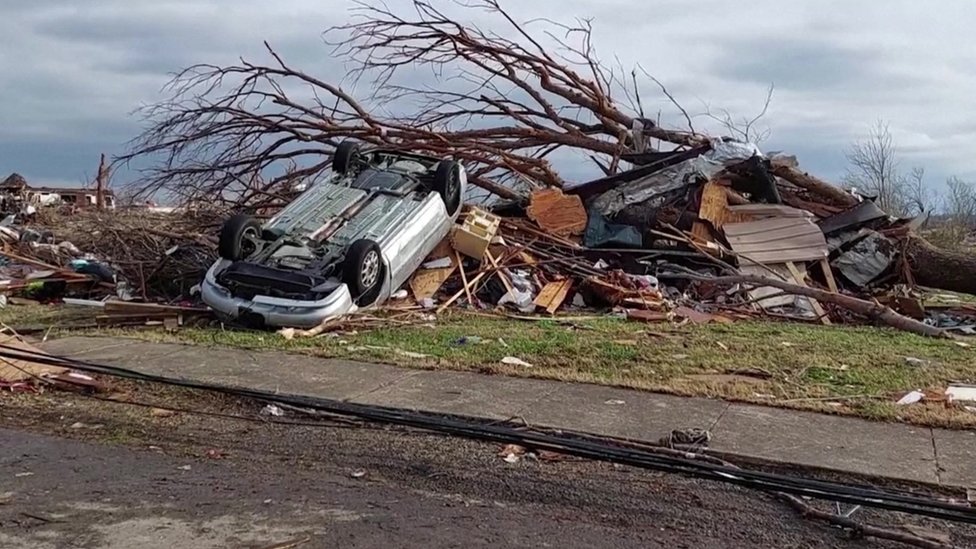 BBW porno qoli bilan mushuk foto