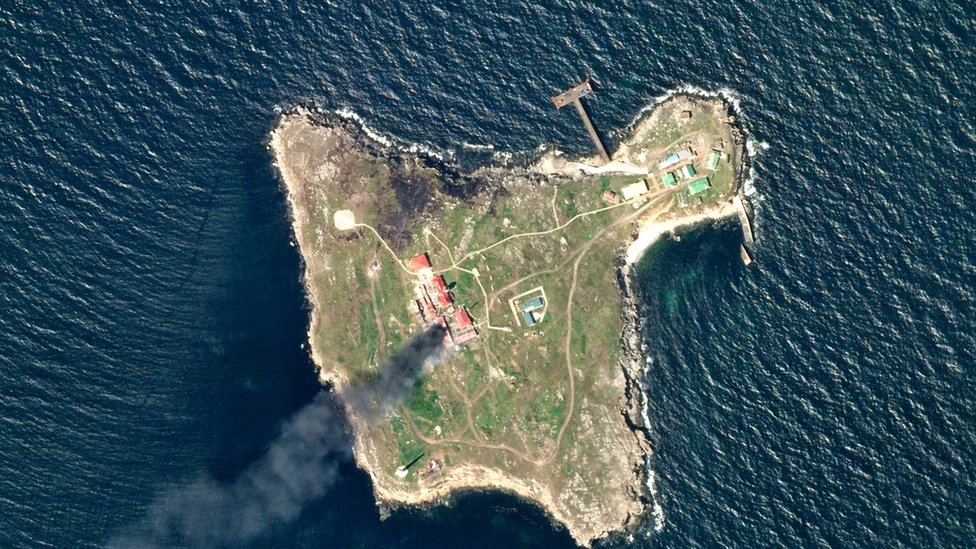 Spermadagi yalangoch Mavis